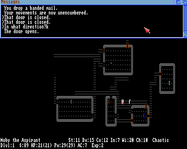 16580407-nethack-amiga-later-in-the-game.png